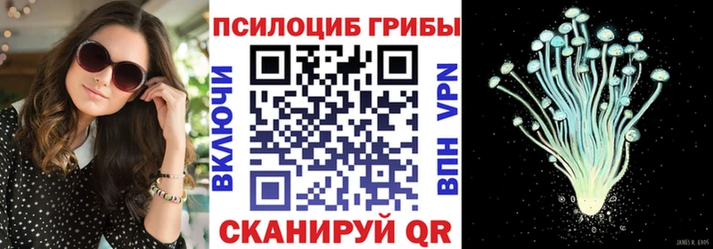 Купить где  Бирюсинск  Псилоцибиновые грибы GOLDEN TEACHER 